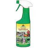 NEUDORFF - NeudoClean HygieneSpray - 250 ml