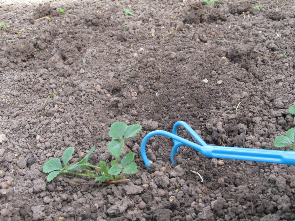 Gardena Kleingrubber im Praxistest