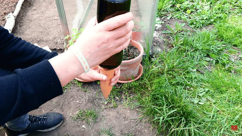 Tonkegel Hydro Wine von BioGreen im Test