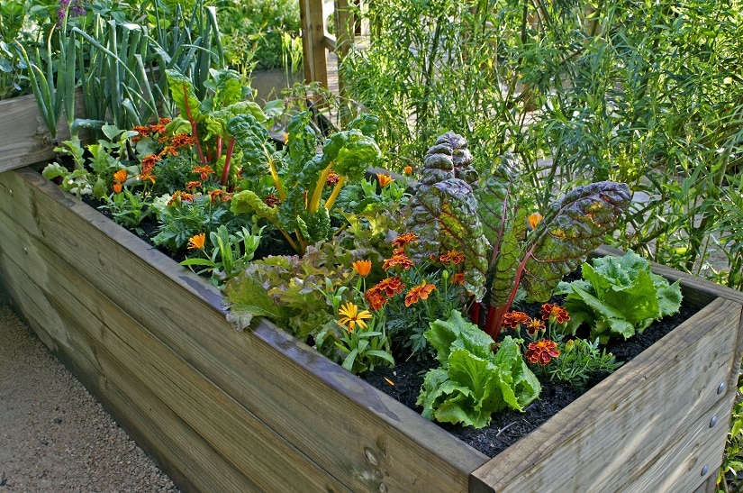 Hochbeet aus Holz mit Gemüse und Blumen